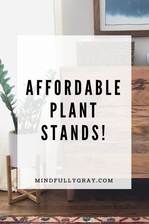 My Favorite (Affordable) Plant Stands!